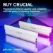   Micron DDR5 16GB 6400 MHz Pro Overclocking White (CP16G64C38U5W)