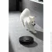 Midea M7 pro