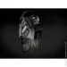 Miele SNCF0 Boost CX1 Obsidian Black Cat&Dog