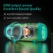   Mifa A90 green 60  IPX8 Bluetooth 5.0 (Global)