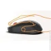  (  ) Miiiw Kit III PB03 Black (MW24PB03)