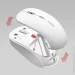  Miiiw PM22 White (MW23M22)