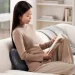  MiJia Smart Waist Massager (BHR8623CN)