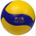   Mikasa Pro (V333W-5)
