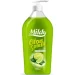 Mildy    Citrus Splash 750 