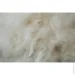 Mirson    Raffaello 063 + 2200000075116 155x215  