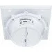   Mmotors MMP-100    (3800220750771)