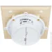   Mmotors MMP-100    (3800220751068)