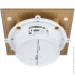   Mmotors MMP-100      (3800220751129)