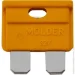  Molder   "" 20, 50 (MA22320)