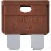  Molder   "" 7.5, 50 (MA22307)