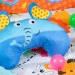 Momi    MULTI (MAED00003)