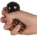 Monster Gum -     7  T24575