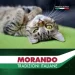  Morando      Tradizioni   ,    100 