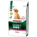   Morando   Tradizioni Puppy         2,5 