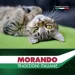   Morando      Tradizioni Sterilized   400 