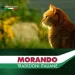  Morando       Tradizioni Sterilized        85