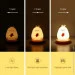 More   LED    - 