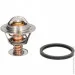  Motorad 214-82JK (21482JK)