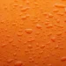  Mousson POLUS R 
