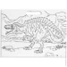 Moxy Dinosaur Expedition   /     , 961028
