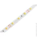 LED  MTK   2835-60led-8mm-12V IP20      (2796)
