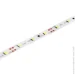 LED  MTK   2835-60led-8mm-12V, IP20     (764)
