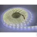 LED    5050-60led-10mm-12V IP65  MTK (7555)