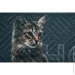   Multy Home  Lima 45x75   2- 