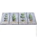   Multy Home  Topiary 4575 