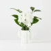 MVM ʳ:   DH-FLOWERS-02 WHITE 11 