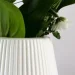 MVM ʳ:   DH-FLOWERS-04 WHITE 20 
