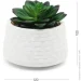   MVM  DH-FLOWERS-12 GREEN/WHITE