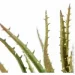   MVM   DH-FLOWERS-13 GREEN/BEIGE