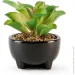   MVM   DH-FLOWERS-14 M GREEN/BLACK