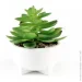   MVM   DH-FLOWERS-14 M GREEN/WHITE