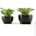   MVM   DH-FLOWERS-14 S GREEN/BLACK