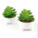   MVM   DH-FLOWERS-14 S GREEN/WHITE
