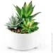   MVM  DH-FLOWERS-16 GREEN/WHITE