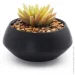   MVM  DH-FLOWERS-18 GREEN/BLACK