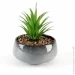   MVM   DH-FLOWERS-19 GREEN/GRAY
