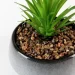   MVM   DH-FLOWERS-19 GREEN/GRAY