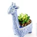   MVM   DH-FLOWERS-20 GREEN/BLUE "