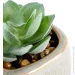   MVM   DH-FLOWERS-20 GREEN/WHITE "