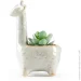   MVM   DH-FLOWERS-20 GREEN/WHITE "