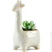   MVM   DH-FLOWERS-20 GREEN/WHITE "