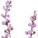   MVM   DH-FLOWERS-21 PURPLE/GREEN