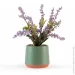   MVM   DH-FLOWERS-21 PURPLE/GREEN