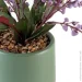   MVM   DH-FLOWERS-21 PURPLE/GREEN