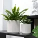 MVM -   DH-FLOWERS-24 L WHITE 16  